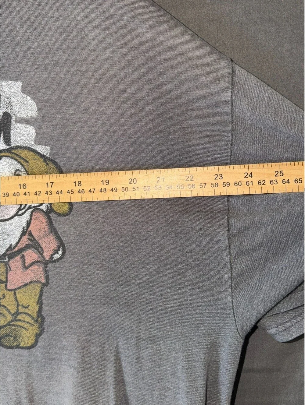 Disney Parks Grumpy Genius by Birth T‑Shirt 2XL Gray Hanes Graphic Tee